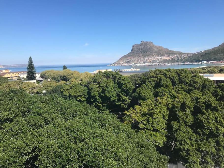 Appartamento Chapman'S Peak, Loft Mit Sea-Und Mountainview Hout Bay Esterno foto